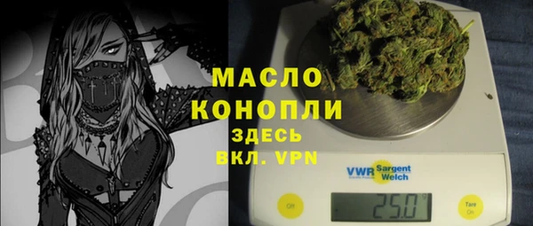 хмурый Аркадак