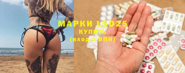 хмурый Аркадак