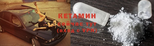 хмурый Аркадак