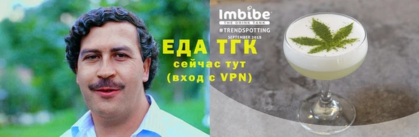 хмурый Аркадак