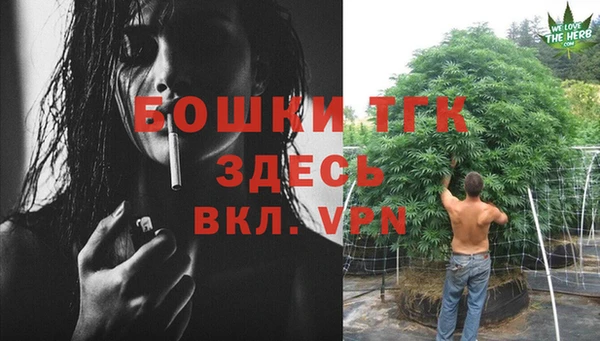 хмурый Аркадак