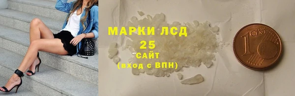 хмурый Аркадак