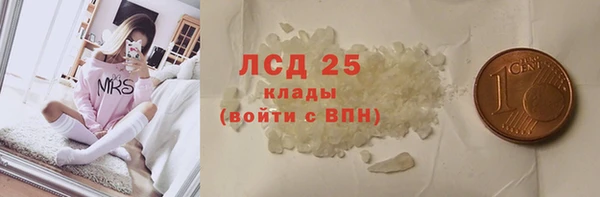 хмурый Аркадак
