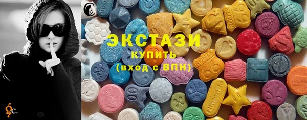 хмурый Аркадак