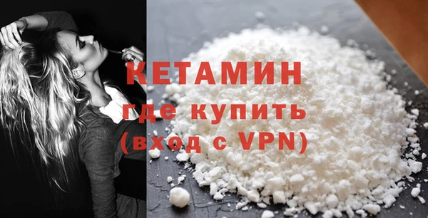 хмурый Аркадак