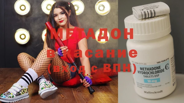 хмурый Аркадак