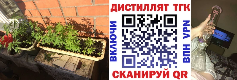 ТГК THC oil  как найти закладки  Багратионовск 