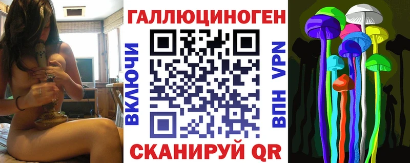 OMG маркетплейс  Багратионовск  Галлюциногенные грибы Psilocybine cubensis 